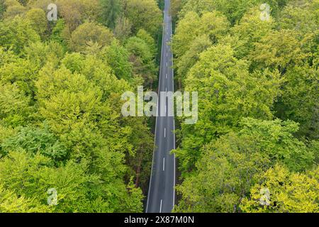 Germania, Baviera, veduta aerea della strada asfaltata che taglia la foresta verde di Steigerwald Foto Stock