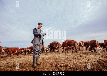 Veterinario che esamina i documenti medici delle mucche in fattoria Foto Stock