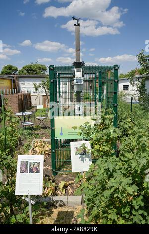 Klima Schaugarten, Kolonie Grüne Aue am Priesterweg / Grazer Damm, Schöneberg, Tempelhof-Schöneberg, Berlino, Deutschland *** Climate show Garden, Grüne Aue Colony on Priesterweg Grazer Damm, Schöneberg, Tempelhof Schöneberg, Berlino, Germania Foto Stock