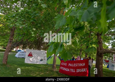 Stoccolma, Svezia. 23 maggio 2024. I manifestanti pro-palestinesi hanno allestito un campo fuori dall'Università di Stoccolma in una potente dimostrazione. Le azioni seguono le massicce proteste studentesche che hanno scosso le università americane nelle ultime settimane. Studenti e attivisti si sono riuniti per mostrare il loro sostegno alla Palestina e per sensibilizzare sul conflitto in Medio Oriente, creando una presenza significativa e una discussione nei campus. (Credit Image: © Joel Lindhe/ZUMA Press Wire) SOLO PER USO EDITORIALE! Non per USO commerciale! Foto Stock