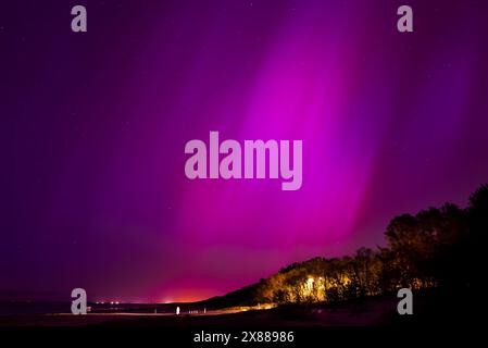 La vivace aurora boreale sulla costa di Jurmala con alberi sagomati Foto Stock