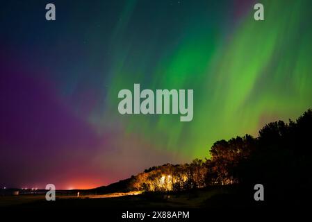 Ipnotizzante Aurora Boreale sul paesaggio boschivo vicino a riga e Jurmala Foto Stock