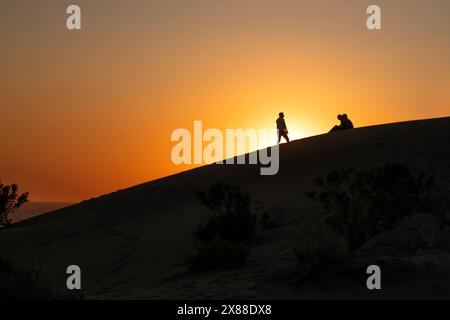 Somiglianti a un deserto, le dune di sabbia di Patara offrono un'esperienza indimenticabile sia con la sua vista che con l'antica città e la spiaggia intorno ad essa. Foto Stock