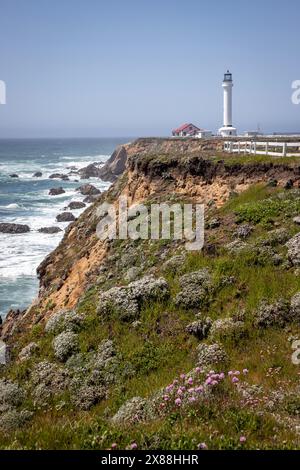 Il faro Point Arena è un faro vecchio di 154 anni sulla costa della contea di Mendicino, a circa tre chilometri a nord della città di Point Arena. Foto Stock