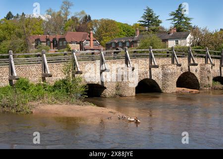 Ponte storico di Tilford sul fiume Wey, villaggio di Tilford, Farnham, Surrey, Inghilterra Foto Stock