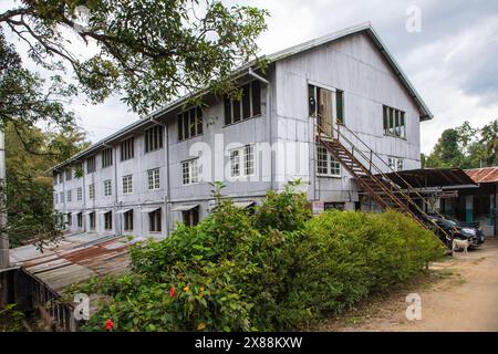 Kandy Road, Sri Lanka. 10.02.2023. Vecchia piantagione di tè abbandonata Geragama in Sri Lanka Kandy Road. edificio principale, laboratorio di lavorazione del tè. quattro piani l Foto Stock