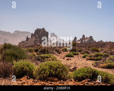 Visita Tenerife con molte rocce e uno splendido paesaggio montano sullo sfondo. Paesaggi vulcanici di Tenerife Foto Stock