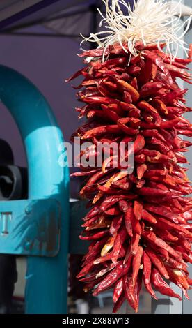 Pequino rosso ristra appeso al mercato agricolo nel centro di Las Cruces, NEW MEXICO, Stati Uniti Foto Stock