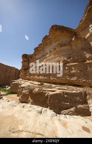 Canyon nel deserto in oasi vicino alla cascata di Tamaqzah, Tunisia Foto Stock