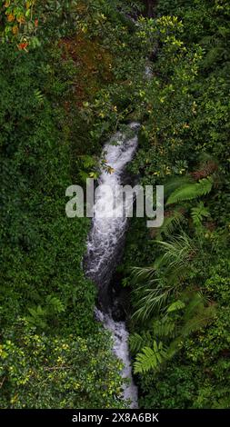 vista aerea di un fiume nel mezzo di una foresta tropicale Foto Stock