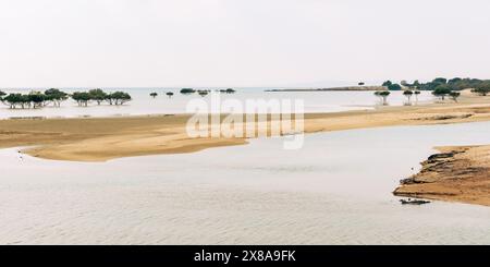 Il flusso e il flusso delle maree rivelano un paesaggio sereno dove la terra incontra il mare, punteggiato da una vegetazione resiliente. Foto Stock