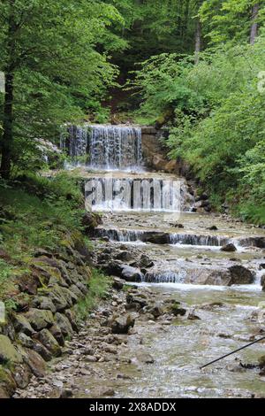 Splendide cascate fluenti della gola di Schleifmühlenklamm Foto Stock