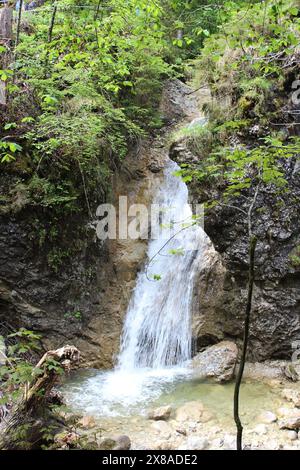 Splendide cascate fluenti della gola di Schleifmühlenklamm Foto Stock