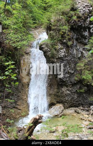 Splendide cascate fluenti della gola di Schleifmühlenklamm Foto Stock