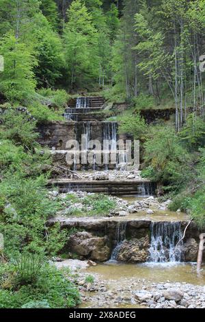 Splendide cascate fluenti della gola di Schleifmühlenklamm Foto Stock