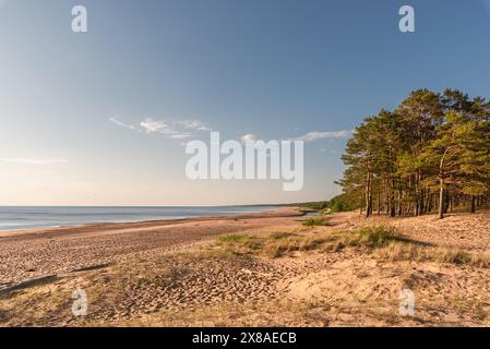 Vista sulla spiaggia del mar baltico e sul fiume Peterupe a Saulkrasti, Lettonia Foto Stock