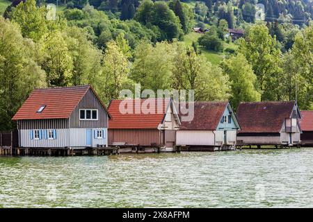 Saloni a Bühl, Großer Alpsee, vicino a Immenstadt, Oberallgäu, Allgäu, Baviera, Germania, Europa Foto Stock