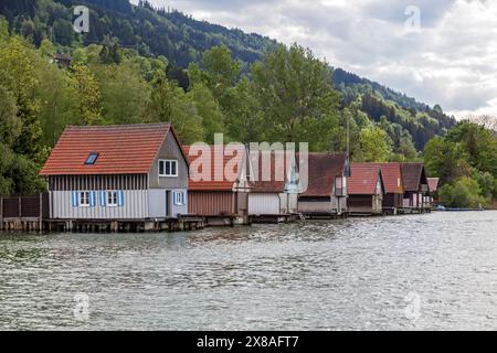 Saloni a Bühl, Großer Alpsee, vicino a Immenstadt, Oberallgäu, Allgäu, Baviera, Germania, Europa Foto Stock