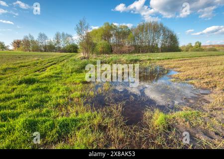 Una grande pozza d'acqua dopo la pioggia in un campo agricolo, il giorno di aprile primaverile, Zarzecze nella Polonia orientale Foto Stock