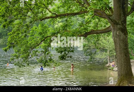 Zona balneare, Krumme Lanke, Zehlendorf, Steglitz-Zehlendorf, Berlino, GERMANIA +++ NESSUNA VERSIONE DEL MODELLO Foto Stock