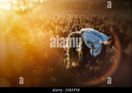 Giovane ragazza con lunghi capelli biondi che inchina in un campo di grano soleggiato Foto Stock