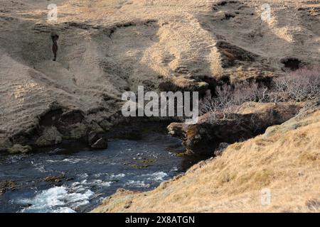 Islanda - 2024 05 01, immagine del paesaggio islandese, cascata Skogafoss, Foto Stock