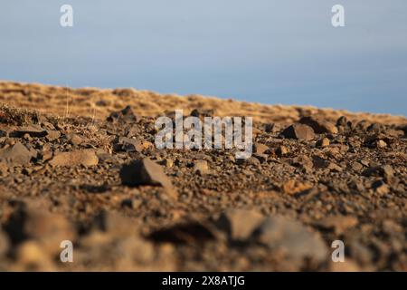 Islanda - 2024 05 01, immagine del paesaggio islandese, cascata Skogafoss, Foto Stock
