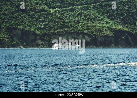 Piccole auto e passeggeri navigano in traghetto vicino a una verde costa di piantagioni nell'isola Ionica di Lefkada in Grecia. Foto Stock