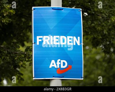 Poster della campagna elettorale AFD con lo slogan "Frieden!" (pace). Il partito politico di estrema destra pubblicizza le elezioni europee. Foto Stock