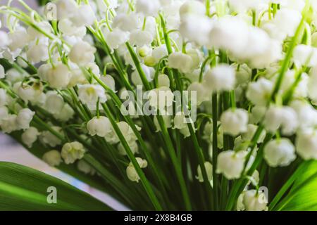 Bellissimo bouquet di giglio della valle, da vicino. Idilliaco giglio della valle. Concetto di fiori primaverili selvatici. Concetto di tenerezza e purezza. Fiori bianchi. Foto Stock