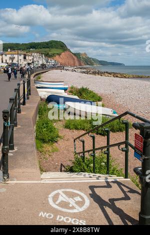 Sul lungomare di Sidmouth, con scalini che scendono verso la spiaggia e un cartello con scritto "No dogs" sul marciapiede. Devon, Inghilterra Regno Unito Foto Stock