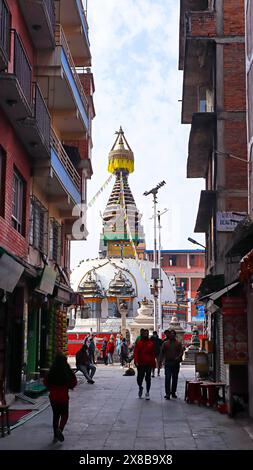 NEPAL, KATHMANDU, dicembre 2023, turista a Swyambhu Shree Gha Chaitya costruito nel XVI secolo Foto Stock