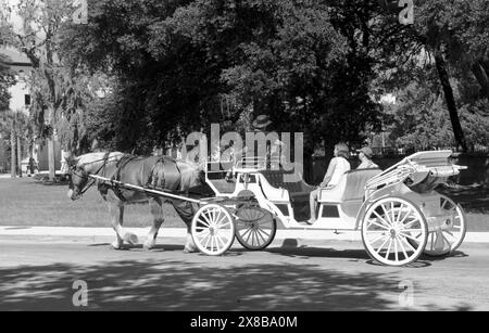 Una coppia in carrozza trainata da cavalli e visite turistiche a St. Augustine, Florida, Stati Uniti. Foto Stock