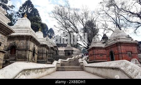 NEPAL, KATHMANDU, dicembre 2023, Tourist at Pashupatinath Temple Complex Foto Stock