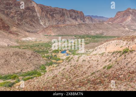 La banda verde del fiume Rio grande che conduce attraverso il Big Bend National Park, Texas USA Foto Stock