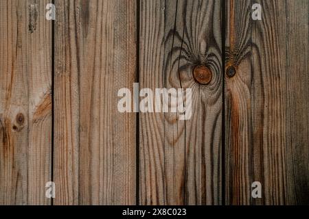 Consistenza di pannelli di legno verticali marroni non verniciati Foto Stock