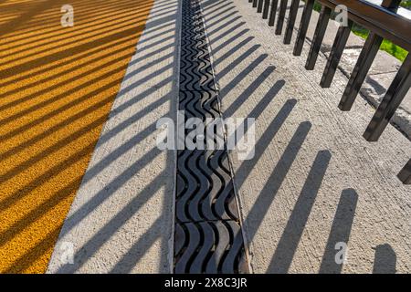 Immagine nel tardo pomeriggio di uno scarico di trincee in metallo ornamentale in cemento con motivo ombra da una recinzione ornamentale adiacente. Foto Stock