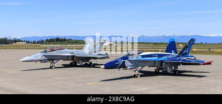 La Royal Canadian Air Force CF-18 Demo Jet e la riserva si trovano sulla rampa di CFB Comox, British Columbia, Canada Foto Stock