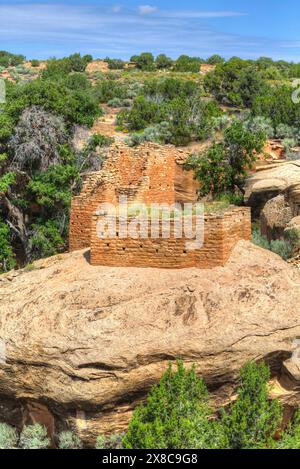 Holly Gruppo, Rovine Anasazi, date da D.C. 1230-1275, Hovenweep National Monument, Utah, Stati Uniti d'America Foto Stock