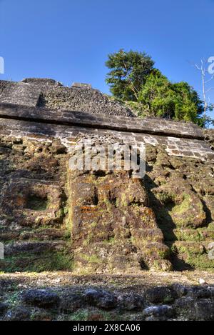 Maschera di stucco, il Tempio alta, Lamanai Sito Maya, Belize Foto Stock