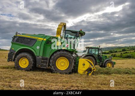 Kieran Crowley Agri Contractors trinciatura dell'erba per l'alimentazione del bestiame invernale vicino a Timoleague, West Cork, maggio 2024 Foto Stock