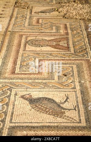 Mosaici risalenti al 530 d.C., Basilica della Chiesa, Memoriale di Mosè, Chiesa, datata 597 d.C. monte Nebo, Giordania Foto Stock