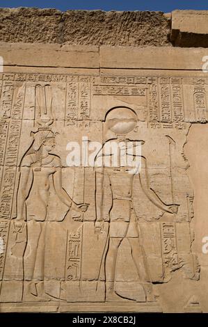 Bassorilievi sulle pareti, Tempio di Haroeris e Sobeck, Kom Ombo, Egitto Foto Stock