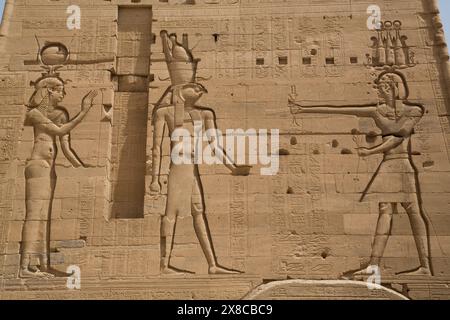 Rilievi della Dea Hathor (a sinistra) e del Dio Horus (al centro) con Neos Dionysos (a destra), secondo pilone, Tempio di Iside, Isola di Philae, Assuan, Egitto Foto Stock