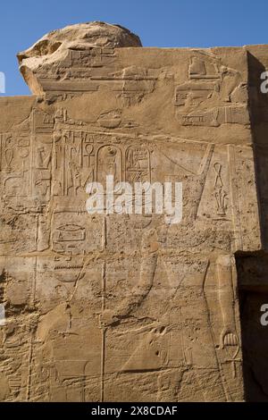 Bassorilievi di geroglifici e un faraone, Tempio di Luxor Luxor Egitto Foto Stock