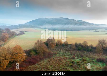 Vista aerea delle terre coltivate e delle siepi in autunno con nebbia. Ayegui, Navarra, Spagna, Europa. SPAGNA Copyright: XMikelxBilbaox/xVWPicsx M-24-04-21 Foto Stock