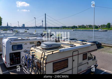 Camper sito sulle rive del Reno, skyline di Düsseldorf sul Reno, torre del Reno, ponte Oberkassler, camper sulle rive del Reno Foto Stock