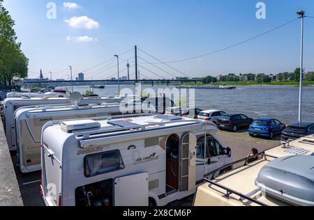 Camper sito sulle rive del Reno, skyline di Düsseldorf sul Reno, torre del Reno, ponte Oberkassler, camper sulle rive del Reno Foto Stock