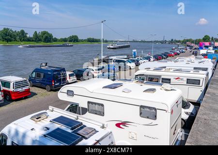 Parcheggio camper sulle rive del Reno, Düsseldorf am Rhein, parcheggio camper sulle rive del Reno, Rheinterrasse, Düsseldorf, Foto Stock