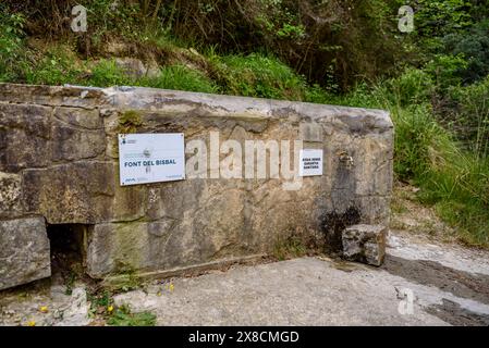 Sorgente e piscina di Bisbal, nel torrente Marganell (Bages, Barcellona, Catalogna, Spagna) ESP: Fuente y poza del Bisbal, en la rambla de Marganell Foto Stock